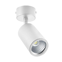 Купить Спот Zumaline Tori sl 3 white 20016-WH в Туле