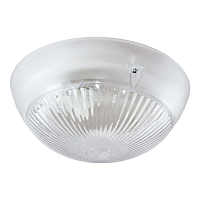 Купить Настенно-потолочный светильник TDM Electric Сириус НПП 03-100-010.01 SQ0311-0007 в Туле