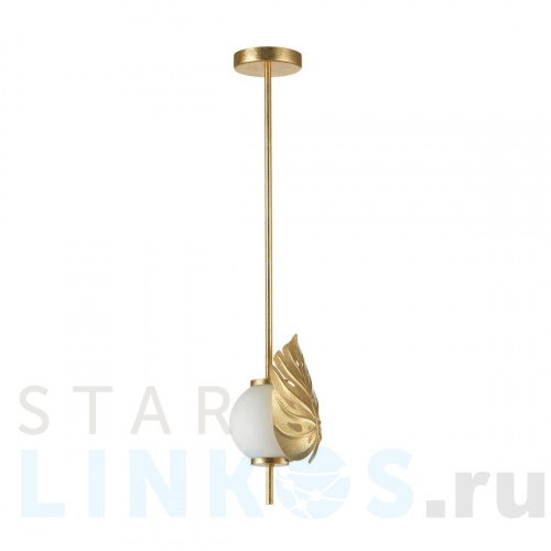 Купить Подвесной светильник Odeon Light Modern Jungle 4864/1A за 7 010 руб. в Туле Купить с доставкой Подвесной светильник Odeon Light Modern Jungle 4864/1A в Туле