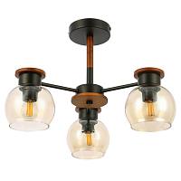 Купить Потолочная люстра Evoluce Rasco SLE108102-03 в Туле