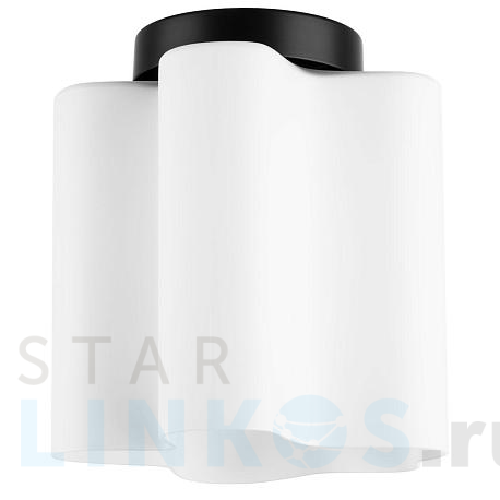 Купить Потолочный светильник Lightstar Nubi 802017 за 5 344 руб. в Туле фото 2 Купить с доставкой Потолочный светильник Lightstar Nubi 802017 в Туле фото 2