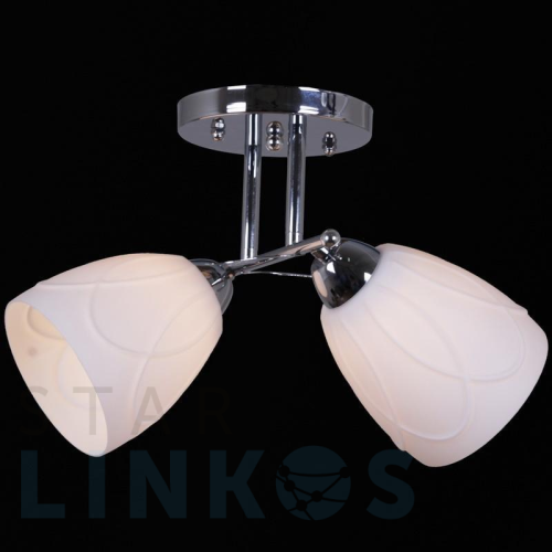 Купить Потолочный светильник Reluce 12452-0.3-02 за 1 640 руб. в Туле Купить с доставкой Потолочный светильник Reluce 12452-0.3-02 в Туле