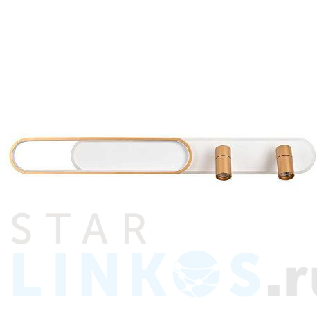 Купить Потолочная светодиодная люстра Favourite Planar 4075-2C за 20 200 руб. в Туле фото 2 Купить с доставкой Потолочная светодиодная люстра Favourite Planar 4075-2C в Туле фото 2