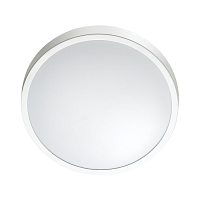 Купить Настенно-потолочный светильник Sonex Mini Smalli 3014/AL в Туле