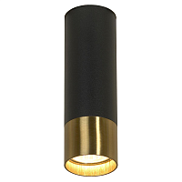 Купить Потолочный светильник Lussole Loft LSP-8556 в Туле