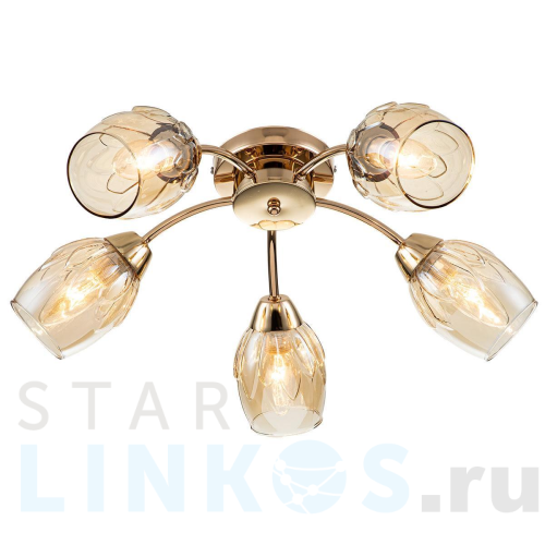 Купить Потолочная люстра Escada Allium 663/5P за 6 990 руб. в Туле Купить с доставкой Потолочная люстра Escada Allium 663/5P в Туле