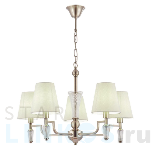 Купить Подвесная люстра Evoluce Reimo SLE105503-05 за 18 260 руб. в Туле Купить с доставкой Подвесная люстра Evoluce Reimo SLE105503-05 в Туле