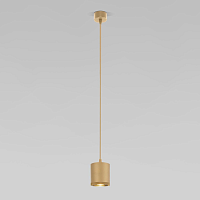 Купить Подвесной светодиодный светильник Elektrostandard Lead 50243 LED золотой a062414 в Туле