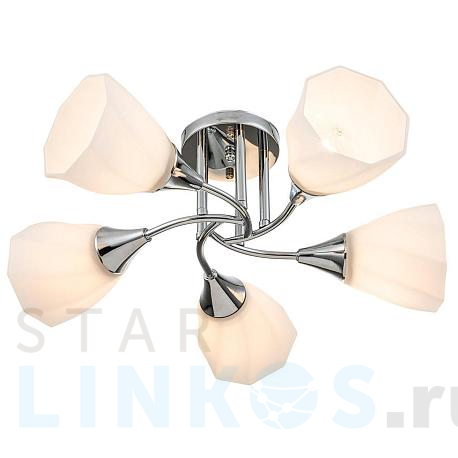 Купить Потолочная люстра Escada Camellia 664/5P за 7 250 руб. в Туле фото 2 Купить с доставкой Потолочная люстра Escada Camellia 664/5P в Туле фото 2