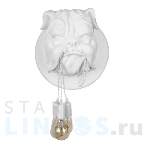 Купить с доставкой Настенный светильник Loft IT Bulldog 10177 White в Туле