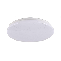 Купить Настенно-потолочный светодиодный светильник Jazzway PPB Starway-2 5025493 в Туле