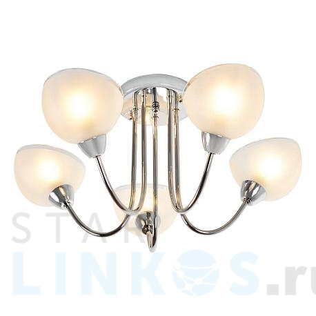 Купить Потолочная люстра MyFar Ekaterina MR1291-5C за 15 395 руб. в Туле фото 2 Купить с доставкой Потолочная люстра MyFar Ekaterina MR1291-5C в Туле фото 2