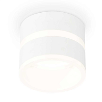 Купить Комплект накладного светильника Ambrella light Techno Spot XS (C8101, N8444) XS8101019 в Туле