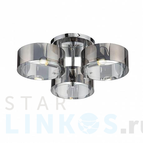 Купить Потолочная люстра Evoluce Foresta SL483.702.03 за 13 130 руб. в Туле фото 2 Купить с доставкой Потолочная люстра Evoluce Foresta SL483.702.03 в Туле фото 2