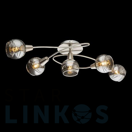 Купить Потолочная светодиодная люстра Globo Roman 54348-5 за 25 060 руб. в Туле фото 2 Купить с доставкой Потолочная светодиодная люстра Globo Roman 54348-5 в Туле фото 2