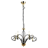 Купить Подвесная люстра Lussole Lgo Powell LSP-8194 в Туле