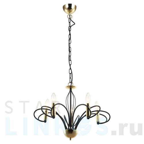 Купить Подвесная люстра Lussole Lgo Powell LSP-8194 за 8 550 руб. в Туле Купить с доставкой Подвесная люстра Lussole Lgo Powell LSP-8194 в Туле