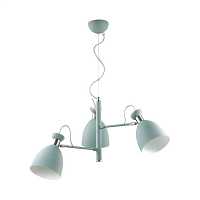 Купить Подвесная люстра Lumion Moderni Kizzy 3735/3 в Туле