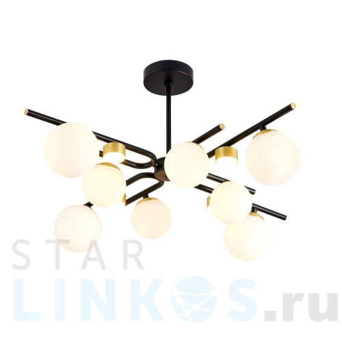 Купить Подвесная люстра Favourite Soffiato 3048-8P за 37 500 руб. в Туле Купить с доставкой Подвесная люстра Favourite Soffiato 3048-8P в Туле