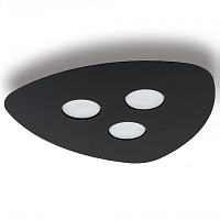 Купить Потолочный светильник Nowodvorski Organic 8302 в Туле