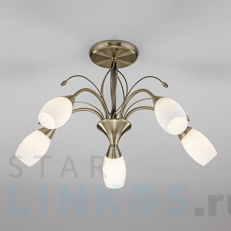 Купить Потолочная люстра Eurosvet 30280/5 античная бронза за 11 000 руб. в Туле фото 2 Купить с доставкой Потолочная люстра Eurosvet 30280/5 античная бронза в Туле фото 2