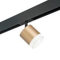 Купить Трековый светильник Lightstar Rullo (213490+595087+202480) PRO349080 в Туле