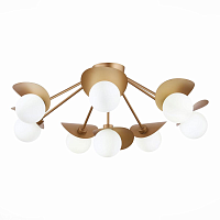 Купить Потолочная люстра Evoluce Bolzano SLE220502-08 в Туле