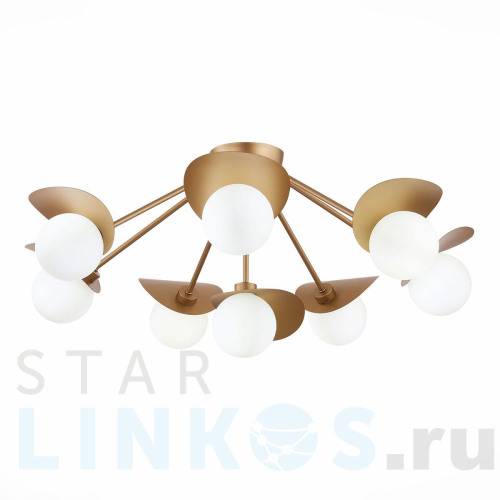 Купить Потолочная люстра Evoluce Bolzano SLE220502-08 за 17 280 руб. в Туле Купить с доставкой Потолочная люстра Evoluce Bolzano SLE220502-08 в Туле