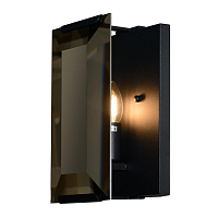 Купить Настенный светильник iLamp Panorama 10090/1W BK в Туле