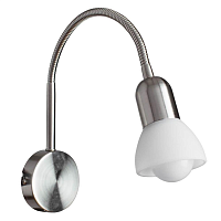 Купить Спот Arte Lamp A3116AP-1SS в Туле