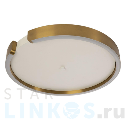 Купить Потолочный светодиодный светильник Loft IT Ring 10026 за 35 090 руб. в Туле Купить с доставкой Потолочный светодиодный светильник Loft IT Ring 10026 в Туле