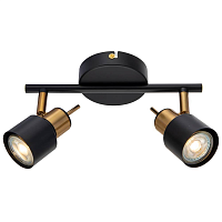 Купить Спот Arte Lamp Almach A1906PL-2BK в Туле