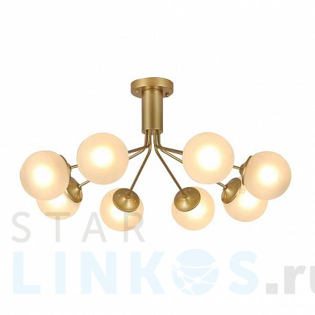 Купить Потолочная люстра F-Promo Pax 2631-8U за 16 500 руб. в Туле фото 2 Купить с доставкой Потолочная люстра F-Promo Pax 2631-8U в Туле фото 2