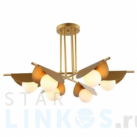 Купить Потолочная люстра Favourite Kernel 2366-6P за 27 300 руб. в Туле фото 2 Купить с доставкой Потолочная люстра Favourite Kernel 2366-6P в Туле фото 2