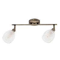 Купить Спот Arte Lamp Biham A3184PL-2AB в Туле