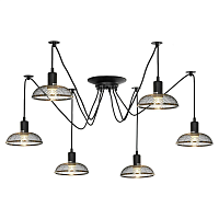 Купить Подвесная люстра Lussole Lgo Shirley LSP-8440 в Туле