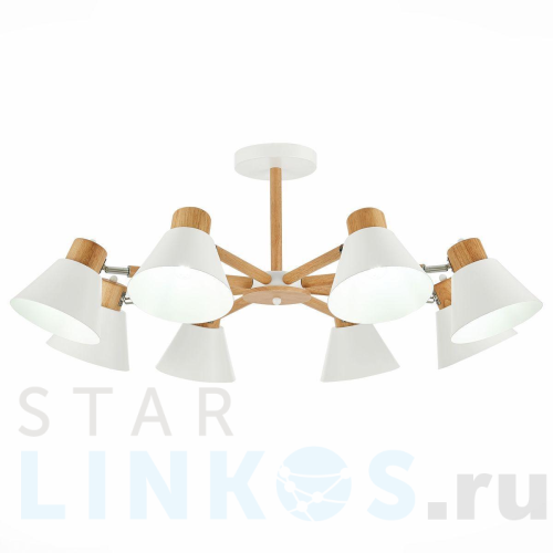 Купить Потолочная люстра Evoluce Buve SLE103702-08 за 19 320 руб. в Туле Купить с доставкой Потолочная люстра Evoluce Buve SLE103702-08 в Туле