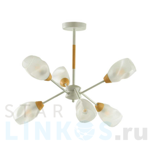 Купить Потолочная люстра Lumion County Kendra 5210/6C за 7 400 руб. в Туле Купить с доставкой Потолочная люстра Lumion County Kendra 5210/6C в Туле