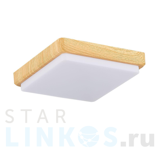 Купить Потолочный светодиодный светильник Evoluce Taddio SLE200202-01 за 5 810 руб. в Туле Купить с доставкой Потолочный светодиодный светильник Evoluce Taddio SLE200202-01 в Туле