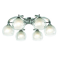 Купить Потолочная люстра Omnilux Saragossa OML-28303-06 в Туле