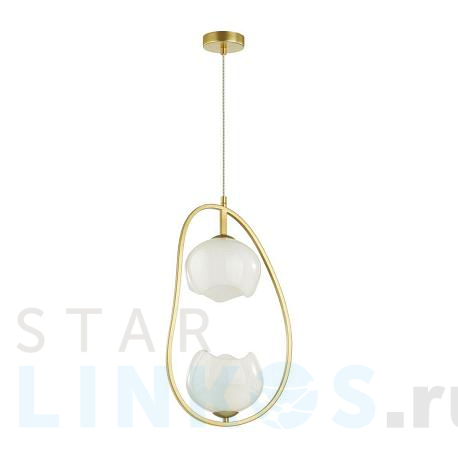 Купить Подвесной светильник Odeon Light Modern Waterlily 4873/2 за 8 990 руб. в Туле фото 2 Купить с доставкой Подвесной светильник Odeon Light Modern Waterlily 4873/2 в Туле фото 2