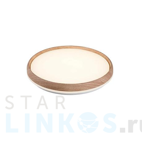 Купить Настенно-потолочный светильник Camelion LBS-7738 14532 за 5 545 руб. в Туле фото 2 Купить с доставкой Настенно-потолочный светильник Camelion LBS-7738 14532 в Туле фото 2