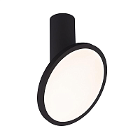 Купить Светодиодный спот Elektrostandard Brain DLS029 12W 4200K черный матовый a047772 в Туле