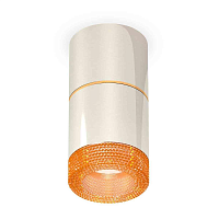 Купить Комплект накладного светильника Ambrella light Techno Spot XS7405062 PSL/CF серебро полированное/кофе (C7405, A2072, C7405, N7195) в Туле