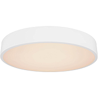 Купить Потолочный светодиодный светильник Globo Wiss 41744-24 в Туле