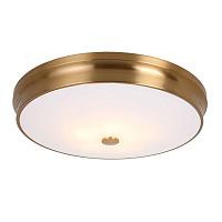 Купить Потолочный светильник Favourite Pannikin 2375-5C в Туле