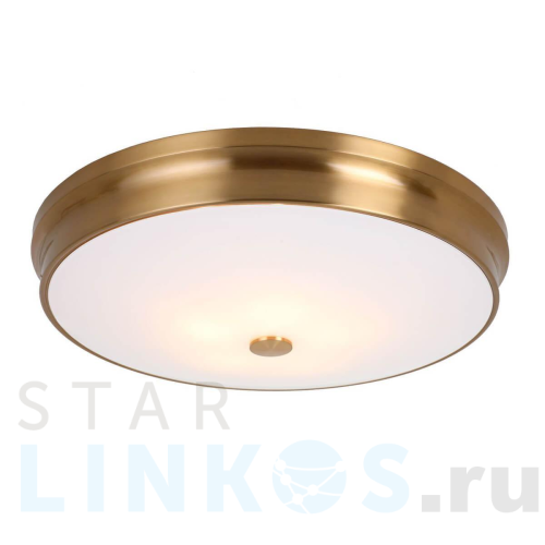 Купить Потолочный светильник Favourite Pannikin 2375-5C за 31 900 руб. в Туле Купить с доставкой Потолочный светильник Favourite Pannikin 2375-5C в Туле