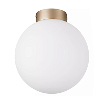 Купить Настенно-потолочный светильник Lightstar Globo 812023 в Туле