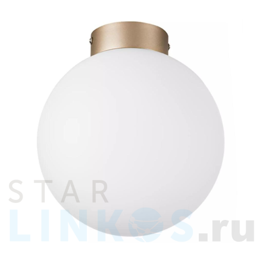 Купить с доставкой Настенно-потолочный светильник Lightstar Globo 812023 в Туле