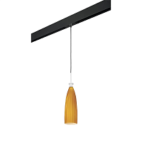 Купить Трековый светильник Lightstar Agola (810013+595007) PRO810013 в Туле